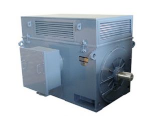 佳木斯股份Y、YR系列高壓三相異步電動(dòng)機(jī)
